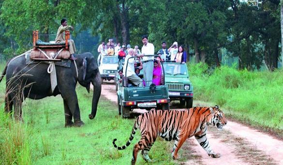 1467784420_1naini 2.jpg